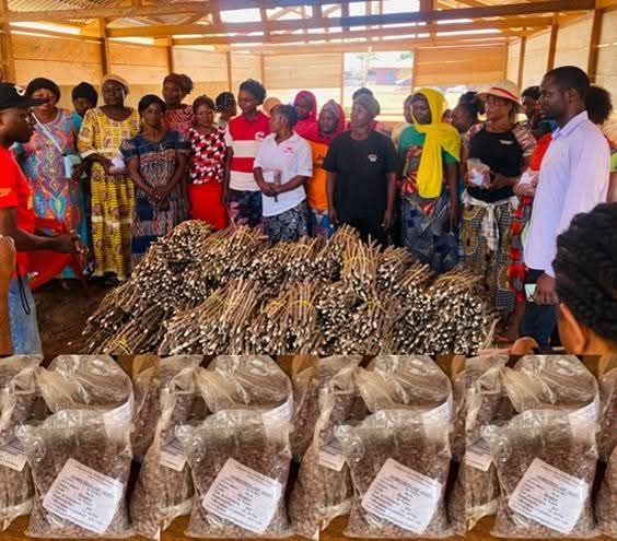 ALLIANCE GSAC tweet media