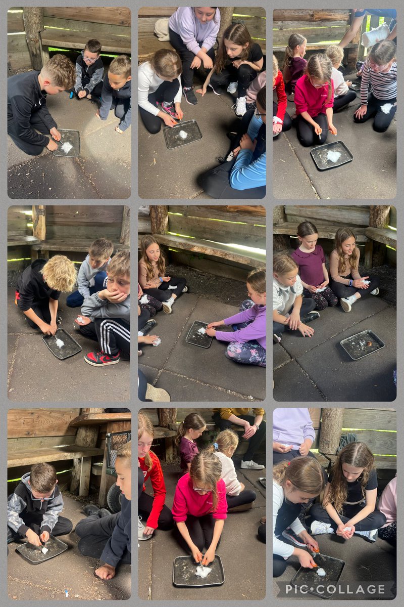 DGwennol's tweet photo. Gwylltgrefft/bushcraft #Llangrannog @YsgolLlanhari https://t.co/J5stvwUaJB