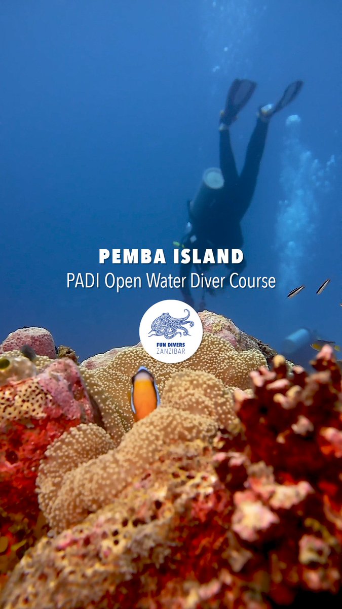 Ready to make a splash? 🤩🩵🐠 Get your PADI Open Water certification with Fun Divers Zanzibar on stunning Pemba Island, Tanzania! 

👉🏿 instagram.com/reel/DLST2B0hs…

#padi
#openwater
#diving
#pemba
#pembaisland
#zanzibar
#tanzania