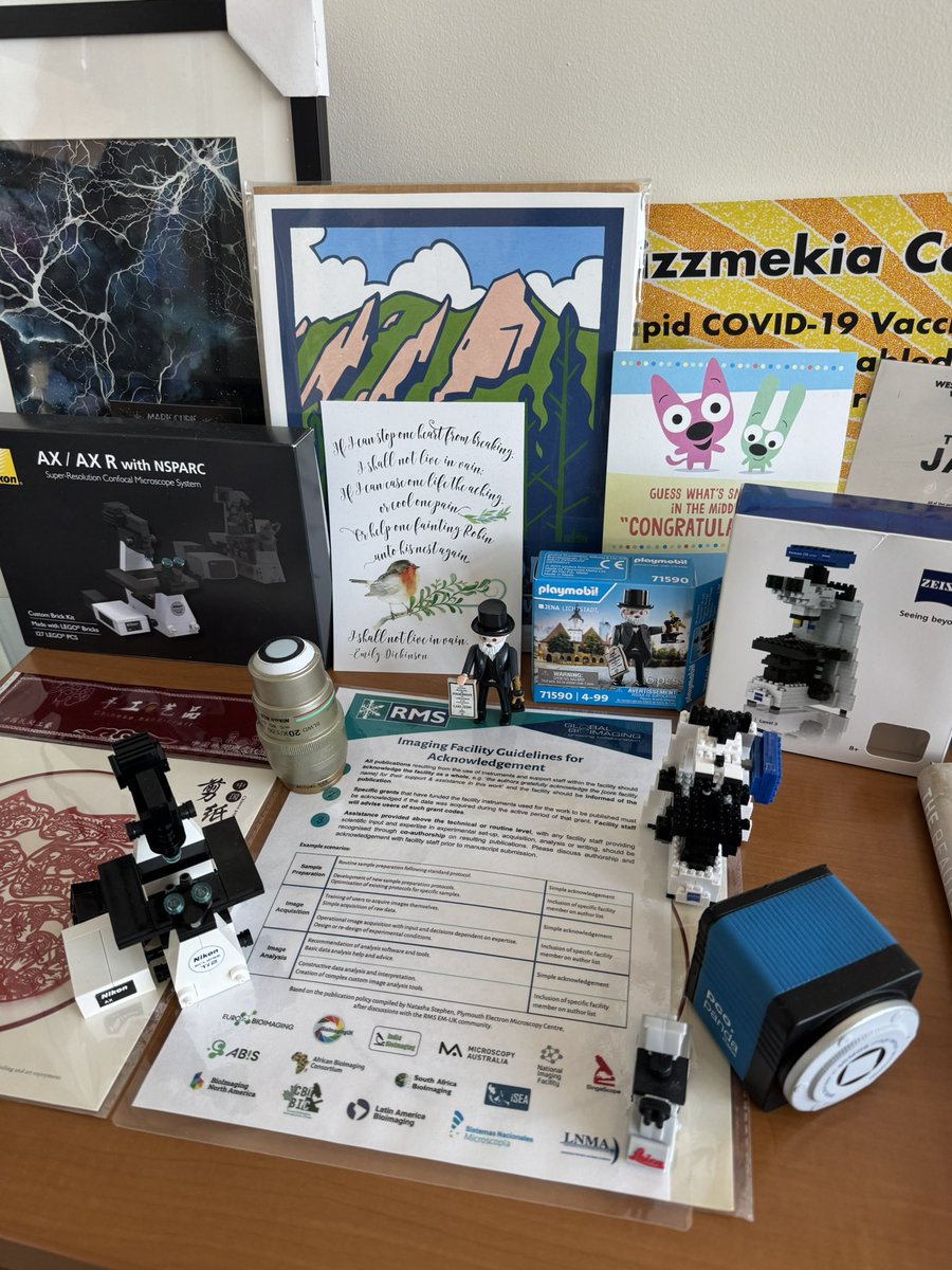 MichelleItano's tweet image. So excited to hang the ‘Acknowlegement Guidelines’ poster up @UNC! Grateful to be part of the community working towards equitable recognition for imaging scientists!!
Read more and download the poster (in 10 languages!): lnkd.in/eSQRugJX
#AcknowledgementGuidelines