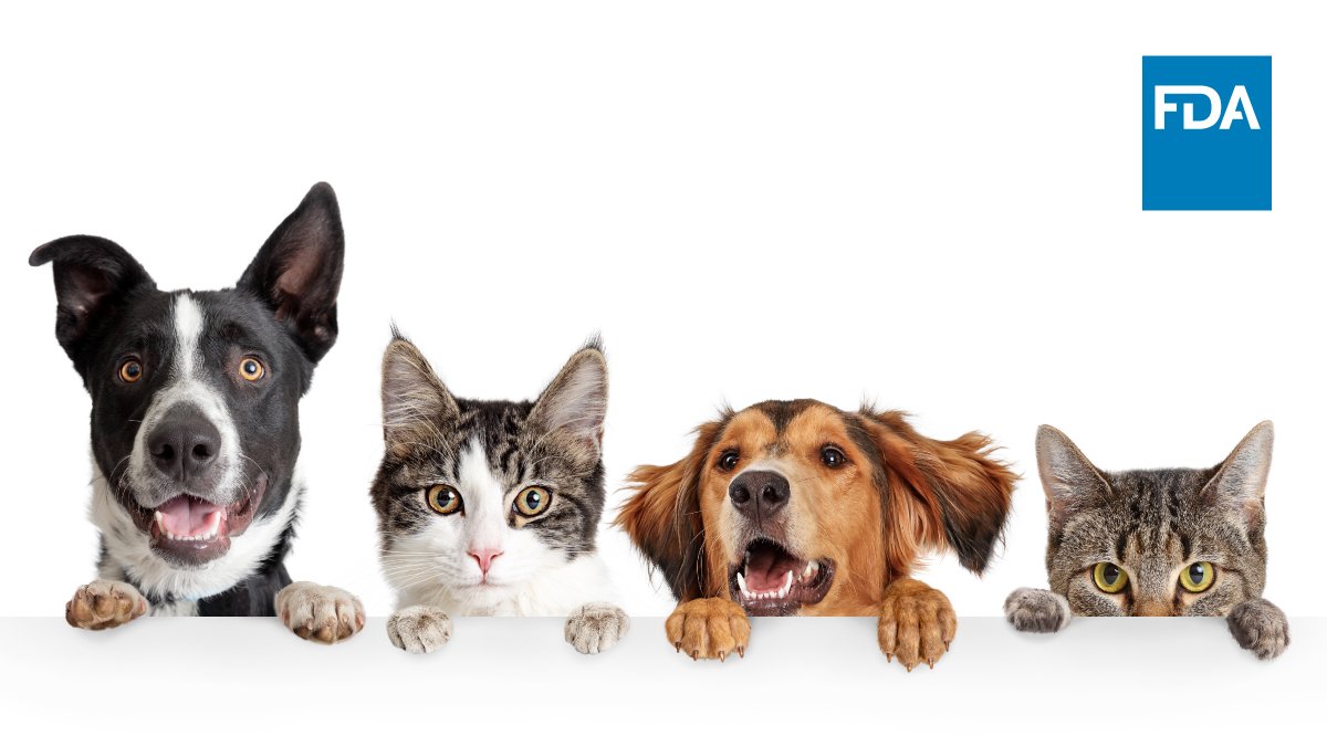 FDAanimalhealth's tweet image. Today, we approved the first generic cefovecin sodium injection for treating skin infections in dogs & cats.
See our announcement for more info: fda.gov/animal-veterin…