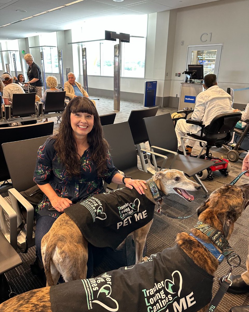 BHMAirport's tweet photo. These pups don’t need boarding passes—they’re cleared for cuddles! ✈️💙 #TLCTuesday https://t.co/m0wna5SCAz