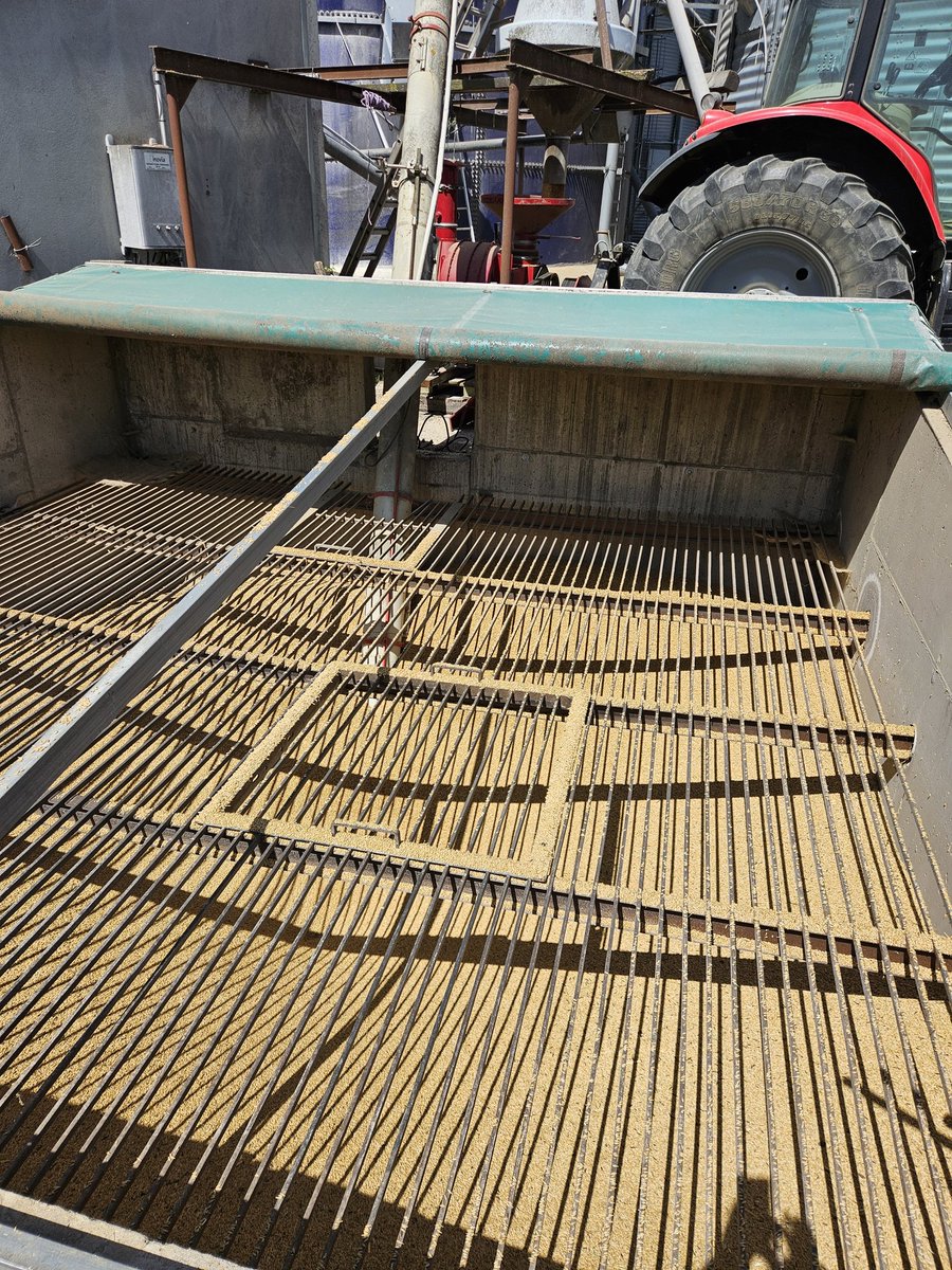 Moisson 2025 démarrée,  réception de l orge d un voisin pour nourrir les 🐖, et on se protège du 🌞 ! <a href="/fdsea53/">FDSEA53</a> <a href="/TremeauJeremy/">tremeau jeremy</a> <a href="/lesyaknous/">alea jacta 🍀🤞❤️</a> <a href="/domrousseau82/">ROUSSEAU</a>