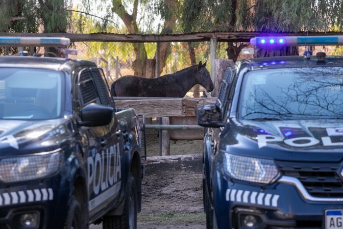 Caza furtiva en La Paz: la Policía Rural detuvo a un hombre y secuestró 40 kilos de carne de jabalí.

🔗Más info: mendoza.gov.ar/prensa/caza-fu…