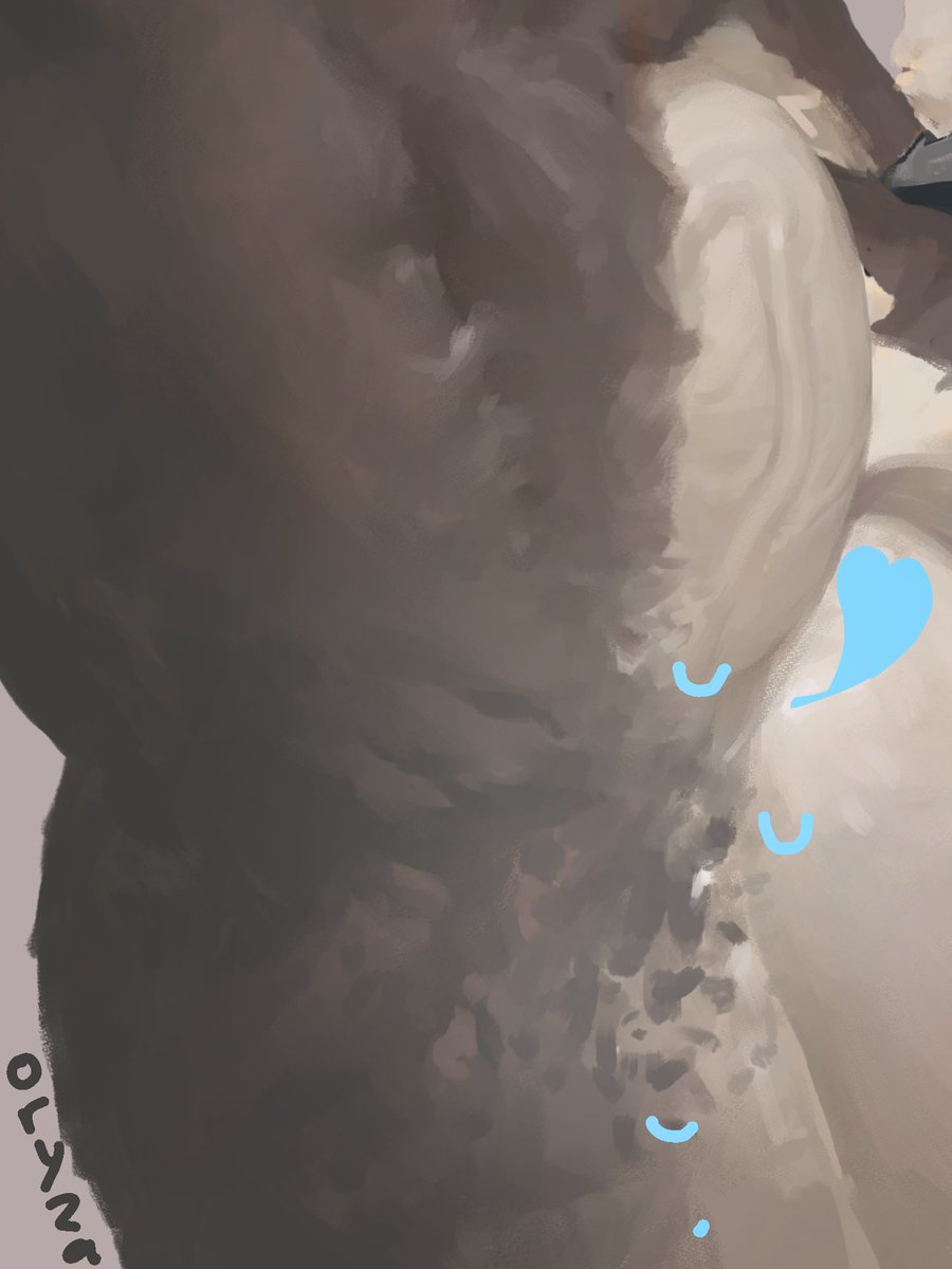 dogpit