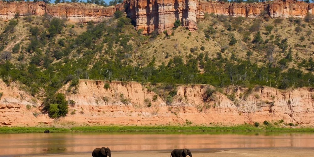Zimbabwe and South Africa Approve New Tourist Only Border Crossing to Link Kruger and Gonarezhou Parks to Boost Eco-Travel
atqnews.com/africa-zimbabw…