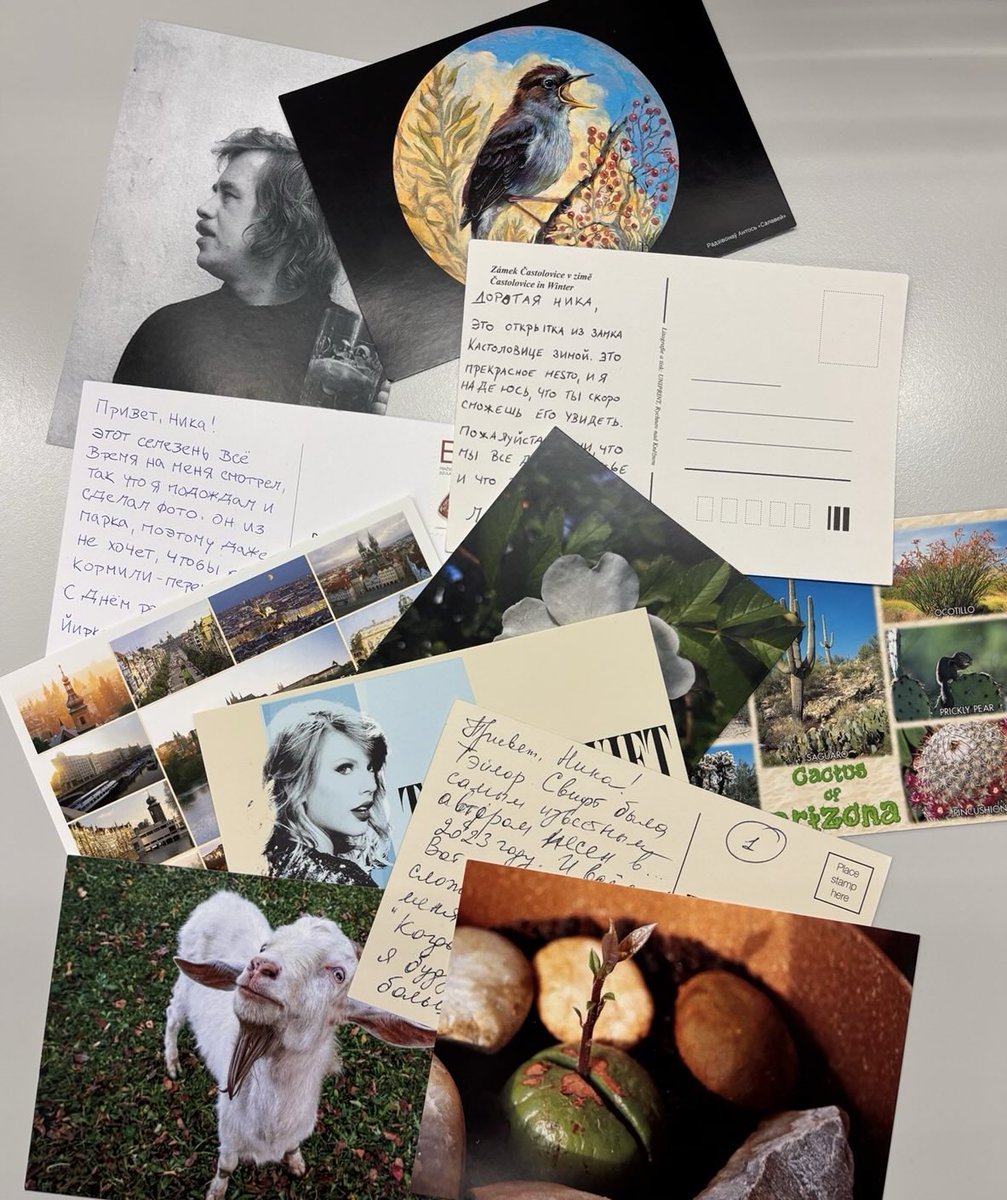 Alsu Kurmasheva (@alsukurmasheva) on Twitter photo Sending cards filled with stories of avocados, birds, Václav Havel to support <a href="/RFERL/">Radio Free Europe/Radio Liberty</a> journalist Nika Novak, unjustly imprisoned in a Russian penal colony. Add your birthday wishes and write to Nika! about.rferl.org/advocacy/impri… #Journalismisnotacrime Sending cards filled with stories of avocados, birds, Václav Havel to support <a href="/RFERL/">Radio Free Europe/Radio Liberty</a> journalist Nika Novak, unjustly imprisoned in a Russian penal colony. Add your birthday wishes and write to Nika! about.rferl.org/advocacy/impri… #Journalismisnotacrime