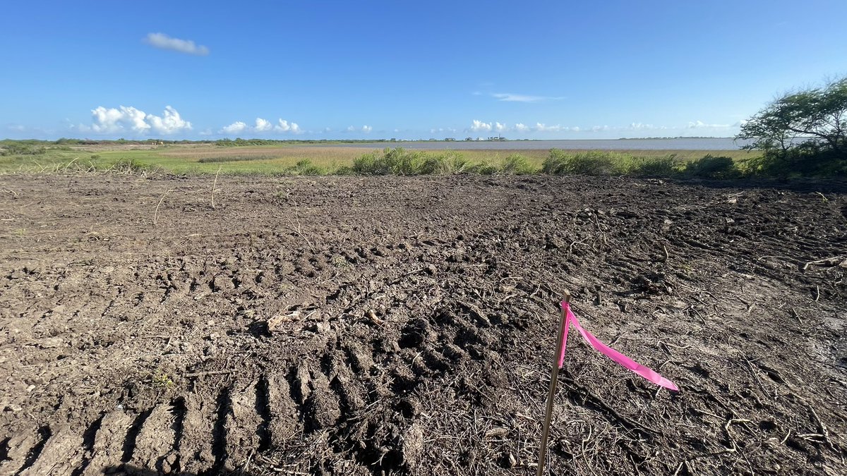 Buckle up. This should be a wild ride...

📸: Undisclosed location