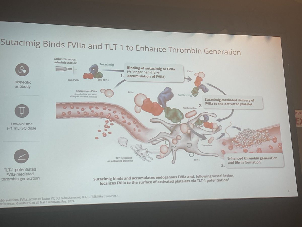 flora_peyvandi's tweet photo. How to solve the problem of patients with #glanzman using a novel bispecific abs #ISTH2025 https://t.co/V6DUnik199