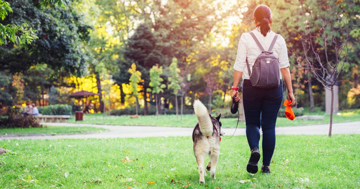 Not all finds on your walk are safe for your pet! From sharp objects to toxic plants, some things could be harmful or even fatal. Check out our latest blog for tips on what to avoid during your next outing with your furry friend!
hsgn.ca/news/hazards-t…