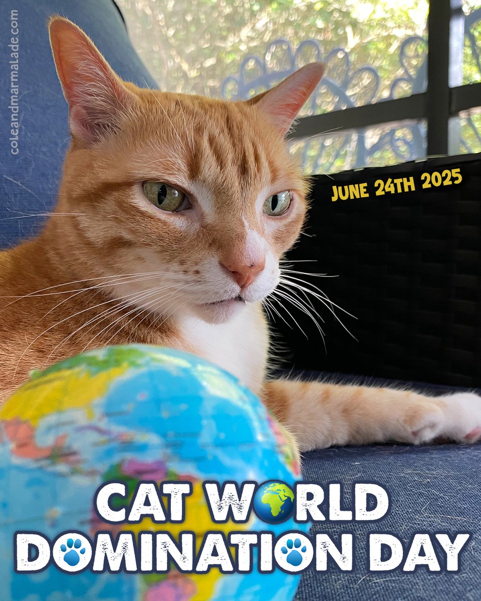I’d definitely prefer cats in charge! 🌎🐾👍

#CatWorldDominationDay