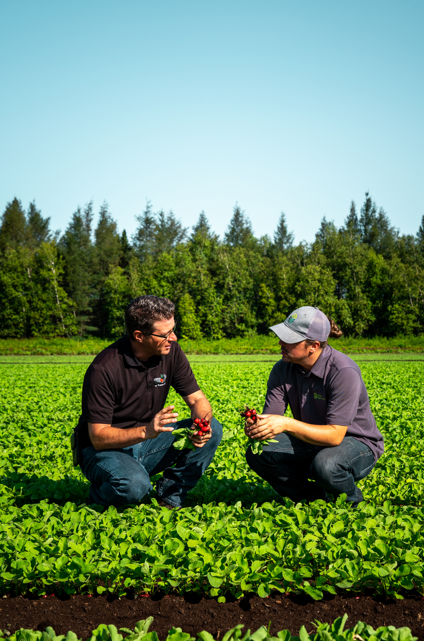 Sollio Groupe Coopératif tweet media