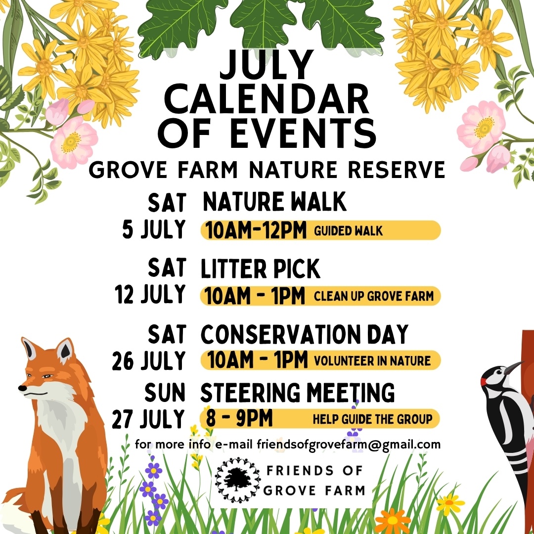 GroveFarmEaling's tweet image. Join us this July for an adventure with Friends of Grove Farm! Whether it's a photo salon 📷 or an activity day 🛠️, we’d love to see you at Grove Farm nature reserve! Link in Bio for our contact details.
#naturelover #conservation #friendsofgrovefarm
