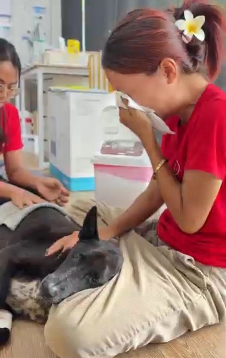 Niall Harbison tweet media