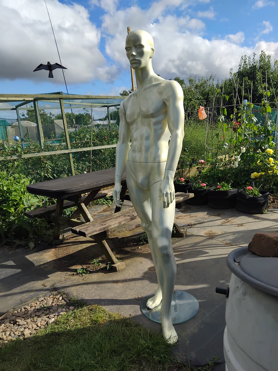 Positive Creed Fanzine (@positivecreed) on Twitter photo 