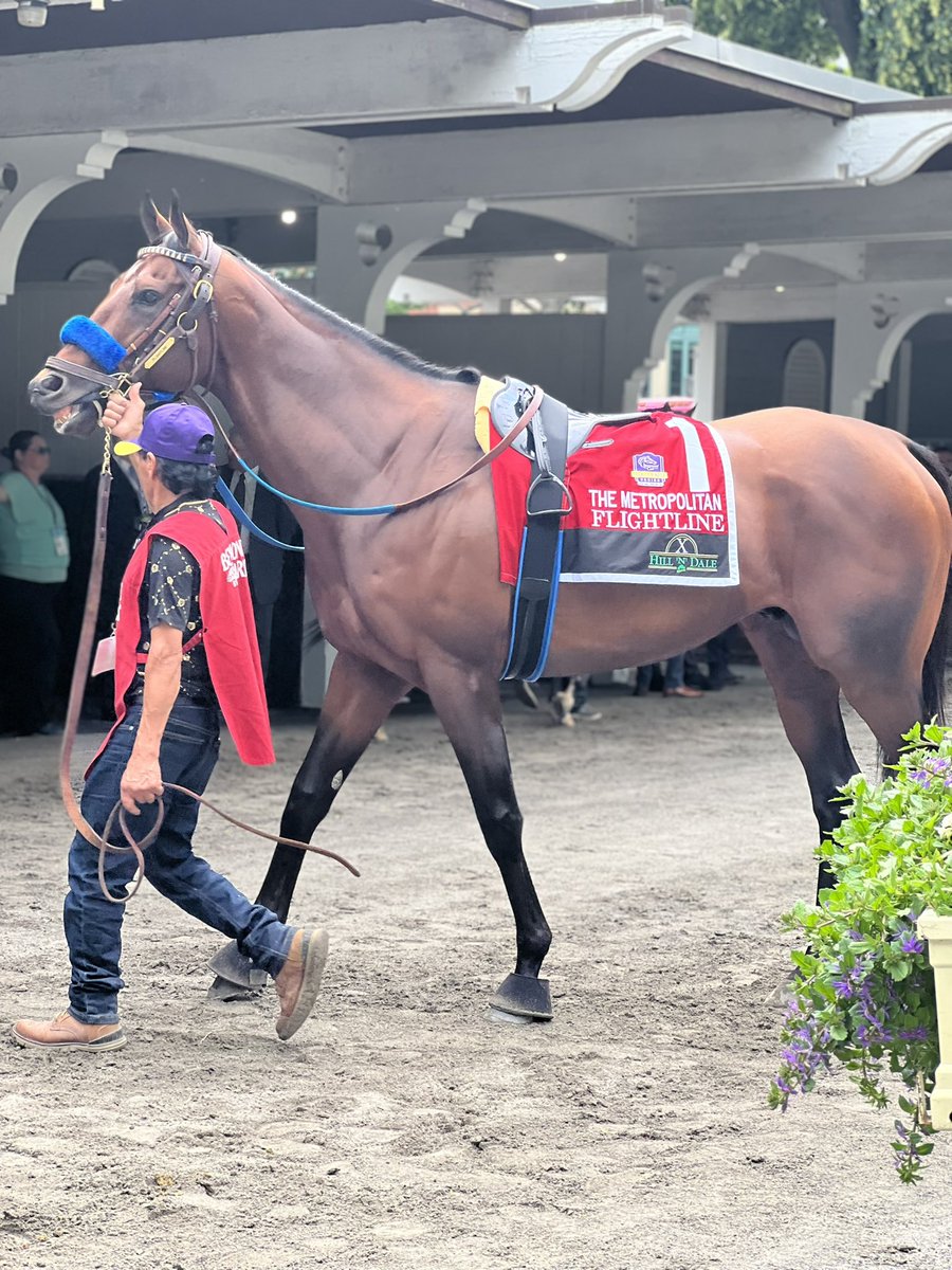 Justify3107's tweet image. Just WOWED looking at some of the mares in foal to Life is Good(@WinStarFarm) and Flightline(@LanesEndFarms)🤯 Some absolutely brilliant pairings. These yearling sales can’t come any faster, I’m so excited to see these yearlings from these soon to be GENERATIONAL sires🤯👀