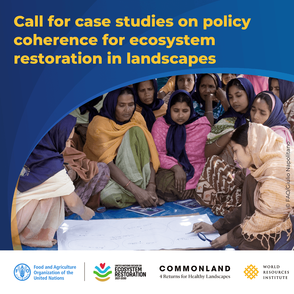 FAO Forestry (@faoforestry) on Twitter photo ๐ Calling all policy innovators in restoration!
Submit your case study by 30 June for the UN Decade on #EcosystemRestoration & help design better policies for people & the planet.
More ๐ form.jotform.com/251113927986061
#GenerationRestoration
<a href="/FAO/">Food and Agriculture Organization</a> <a href="/WorldResources/">World Resources Institute</a> <a href="/Commonland/">Commonland</a> <a href="/UNEP/">UN Environment Programme</a> ๐ Calling all policy innovators in restoration!
Submit your case study by 30 June for the UN Decade on #EcosystemRestoration & help design better policies for people & the planet.
More ๐ form.jotform.com/251113927986061
#GenerationRestoration
<a href="/FAO/">Food and Agriculture Organization</a> <a href="/WorldResources/">World Resources Institute</a> <a href="/Commonland/">Commonland</a> <a href="/UNEP/">UN Environment Programme</a>