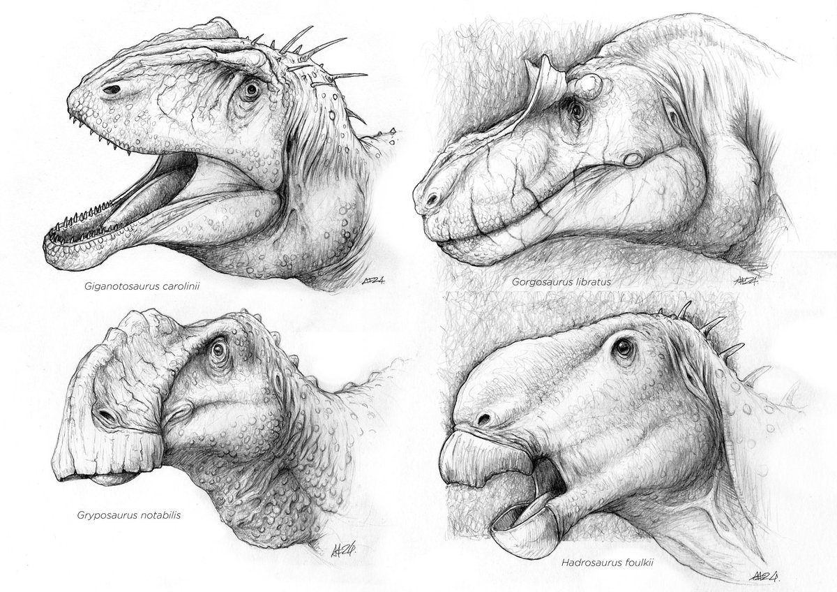 DragonsofWales tweet media
