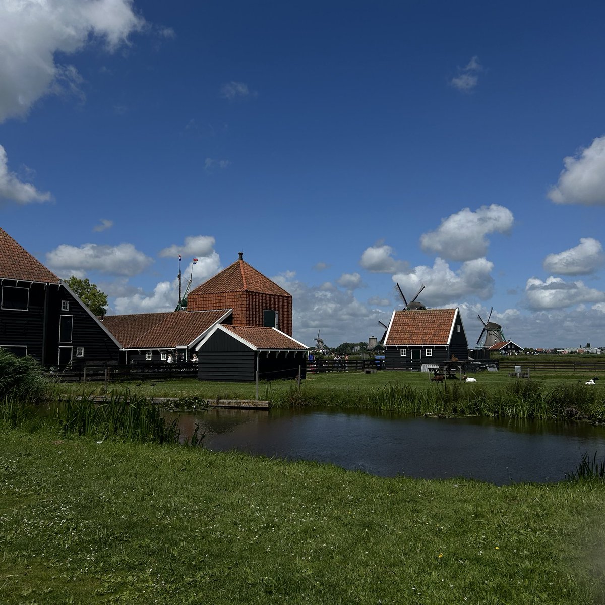 فَهدة tweet media