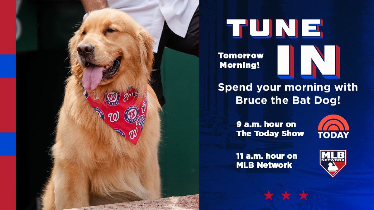 NationalsComms's tweet photo. From top paw-spect with the @RocRedWings to a big league press tour! 🐾

Catch Bruce the Bat Dog tomorrow morning on @TODAYshow in the 9 a.m. hour and @MLBNetwork in the 11 a.m. hour. https://t.co/r4ebTq9GPj