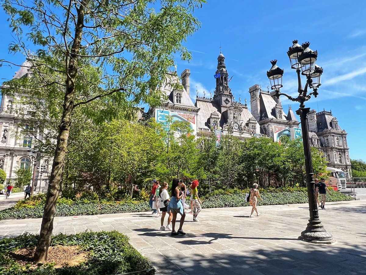 Mayor Harrell: “I will follow the data and lead with equity, seeking to take a One Seattle approach to protecting tree canopy…”

Mayor Hidalgo: [plants a forest in front of city hall]