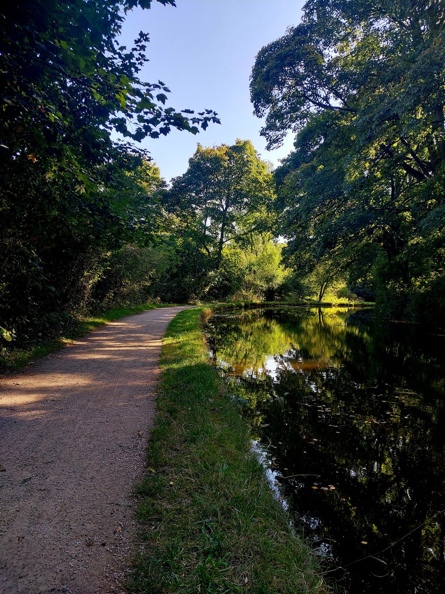 Nick Marston tweet media