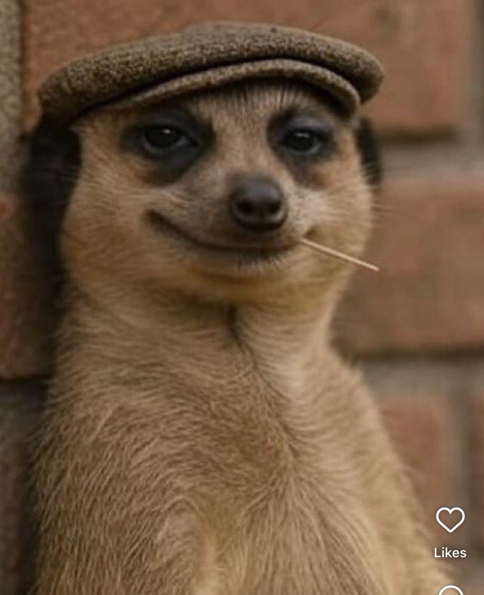 iamnasboi's tweet image. Caption am! Buh it must have my name, 36 states, or davido! Best caption 200k