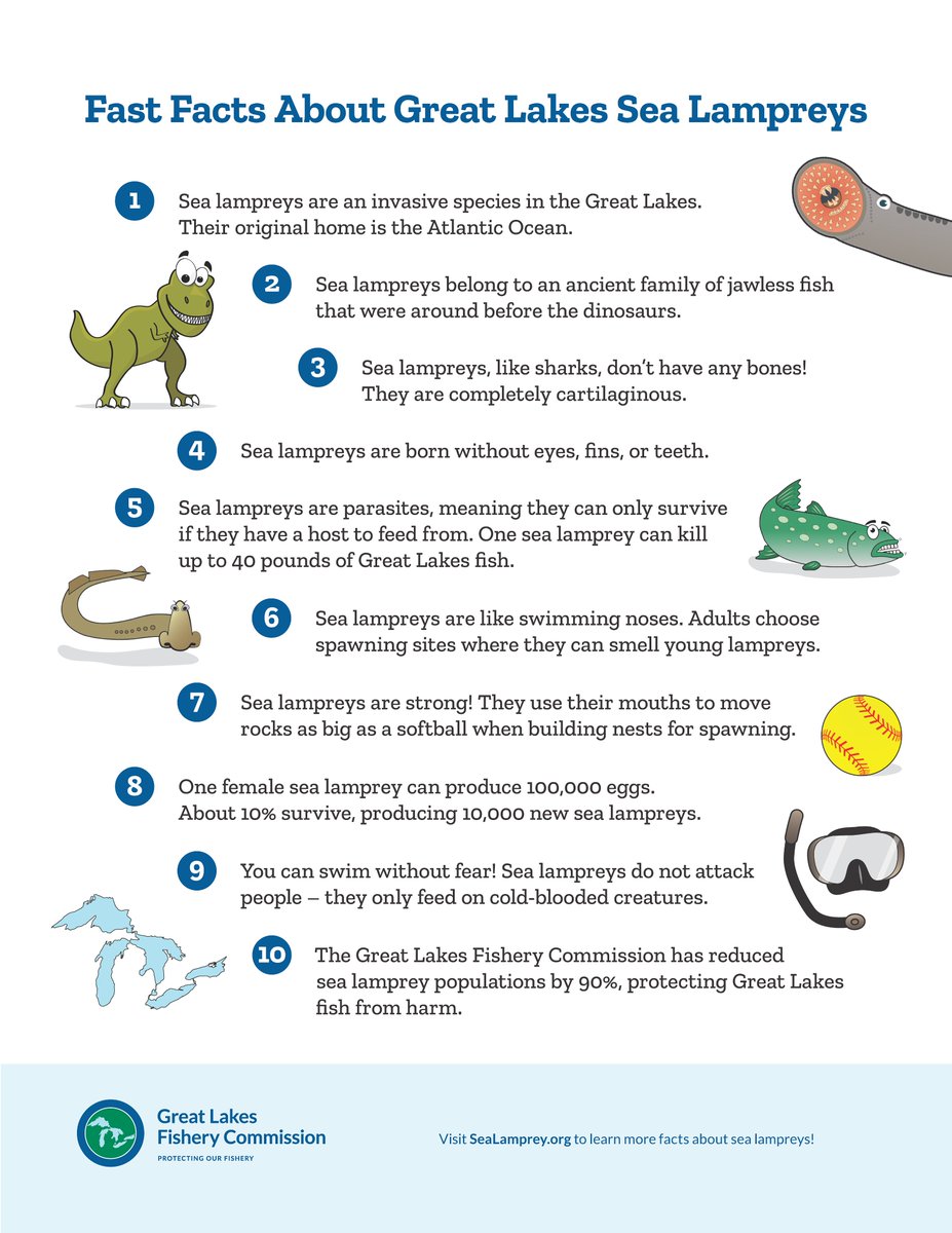 GLFC (@lampreycontrol) on Twitter photo #DidYouKnow the GLFC has a fact sheet for youth with 10 facts about #GreatLakes #sealamprey? Take a look and share with others!
glfc.org/pubs/factsheet…
#InvasiveSpecies #SciComm #DYK #DidYouKnow the GLFC has a fact sheet for youth with 10 facts about #GreatLakes #sealamprey? Take a look and share with others!
glfc.org/pubs/factsheet…
#InvasiveSpecies #SciComm #DYK