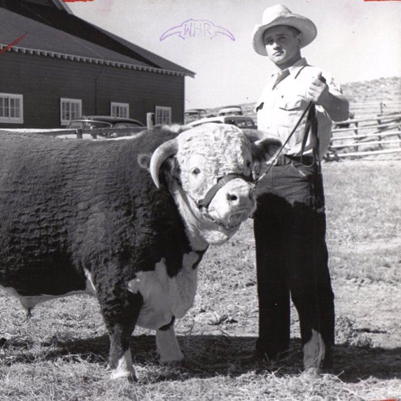 <a href="/SenMikeLee/">Mike Lee</a> <a href="/charliekirk11/">Charlie Kirk</a> Western families have run cattle on public land for >7 generations. We work the gas fields &amp; mines. I haven’t met many oil and gas or ranching leftists. The opposition is from Westerners whose heritage you’re selling to the real estate lobby, foreigners, investment funds.