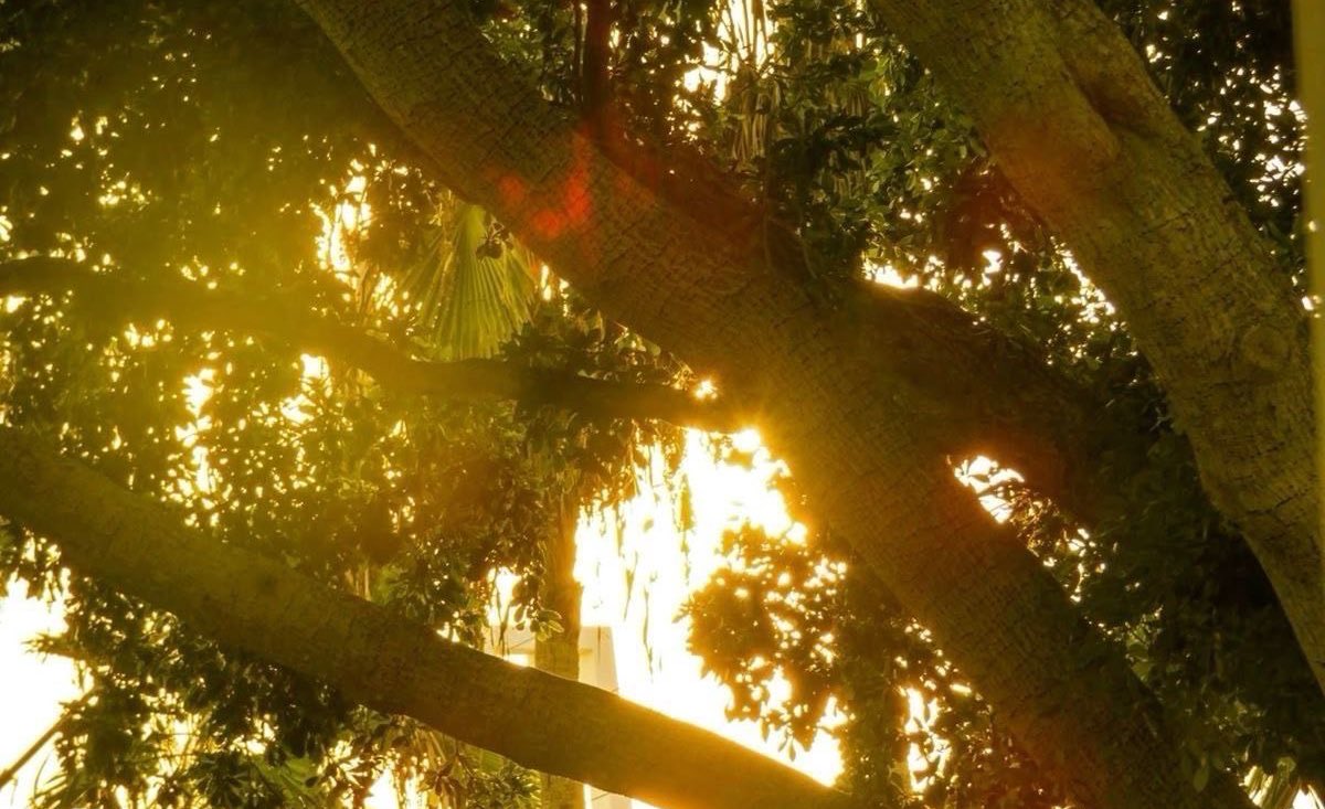 bactriian's tweet image. there’s something beautiful approaching, even if it’s only the sun