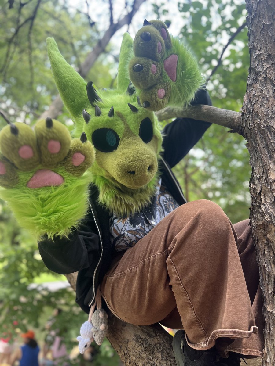 Greentea_cookies tweet media