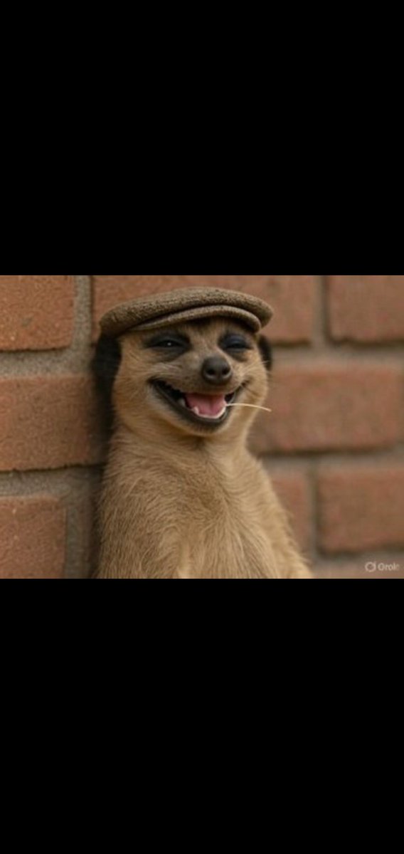 danieldane101's tweet image. Me trying to wake up in church in the morning after Vigil while my 🐔 watching