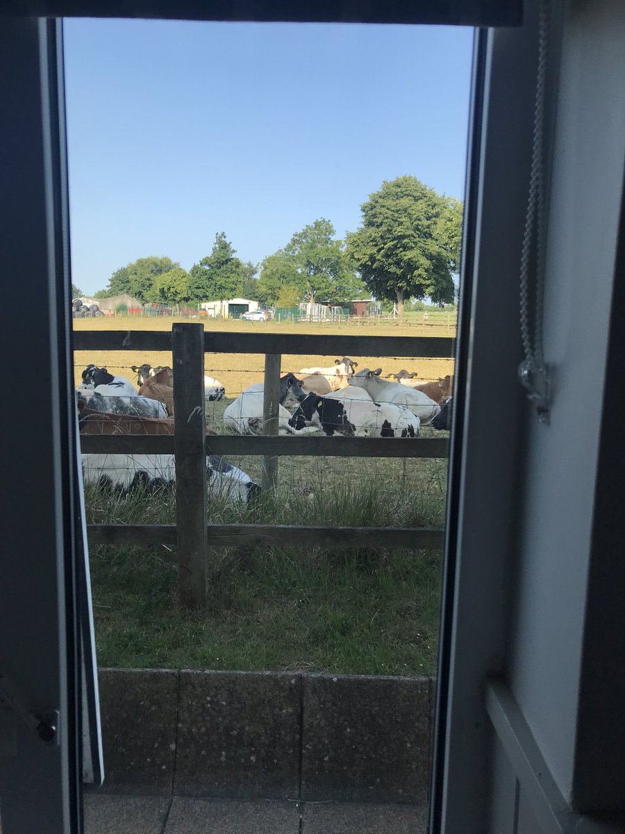 Last Highfield podcast of term has gone out today to parents! Listen for some important admin! (Picture: the view from a Highfield L5 study) Highfield Value: COMMUNITY #UppinghamHighfield #UppinghamBoarding #UppinghamPastoral