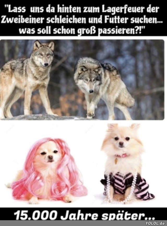 Gute Nacht und schlaft gut.🥱😴😴