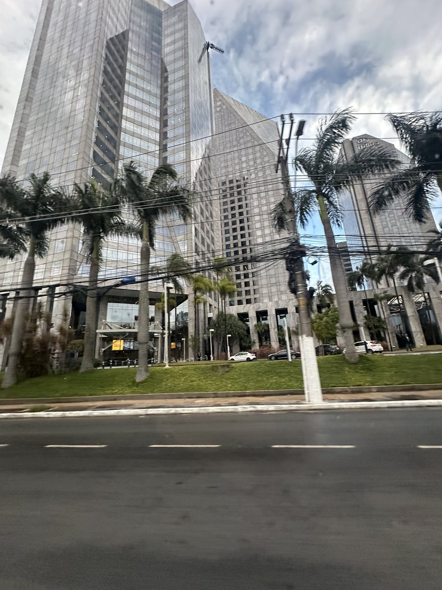 “Paisagismo” do PIB paulistano. “Joga umas palmeira aí e um gramadinho”, Marginal Pinheiros