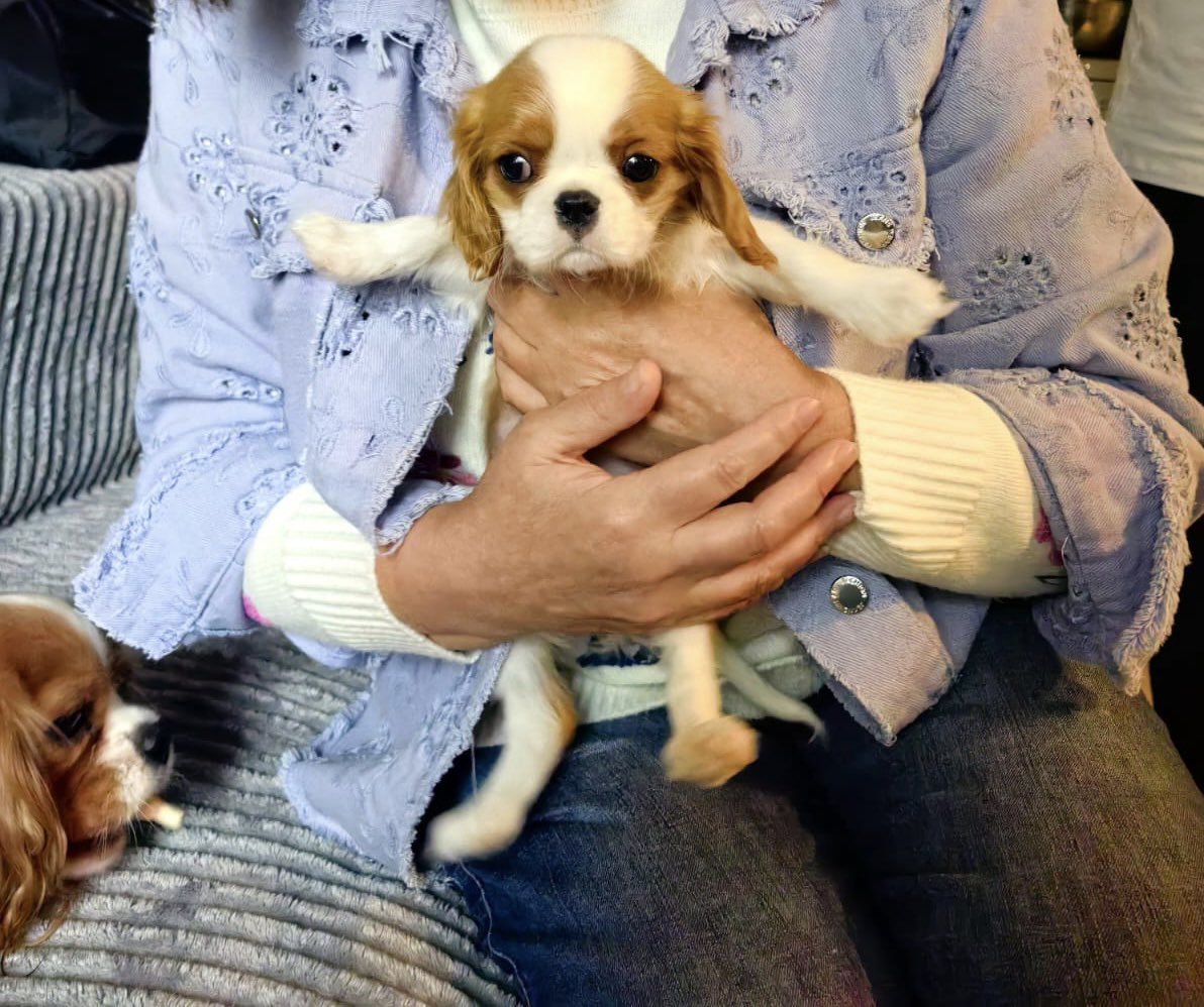 А помните какая Ася была?))))