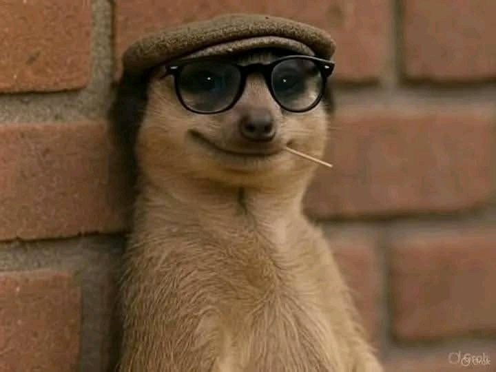 Gold watching you adjust your SL