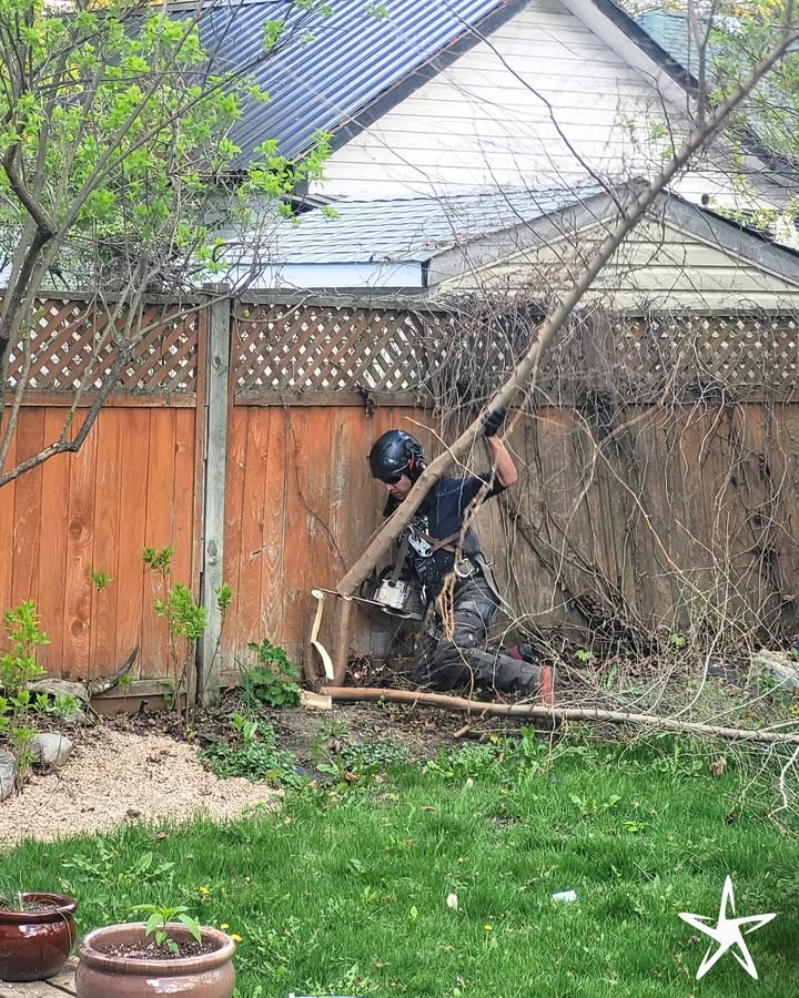 silverstartree's tweet image. 🌿 Careful Cuts in Tight Spaces
When trees grow too close to fences, homes, or gardens, precision matters. Our crew handles delicate removals with care &amp;amp; skill, no damage, just results.

Get Started: silverstartree.com

#TreeRemoval #UrbanTreeCare #SilverStarTree #YardSafety