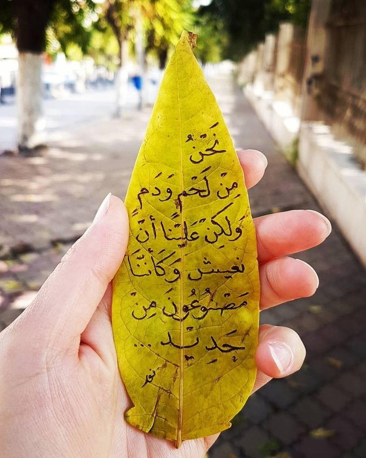 إكتئاب || Depression (@depression_a2) on Twitter photo 