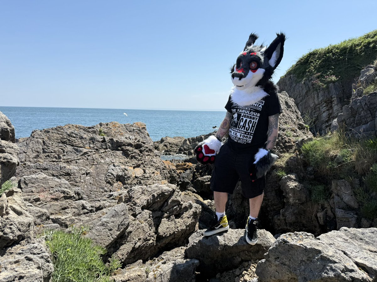 A derg on the rocks #furry #fursuit #FursuitEveryday