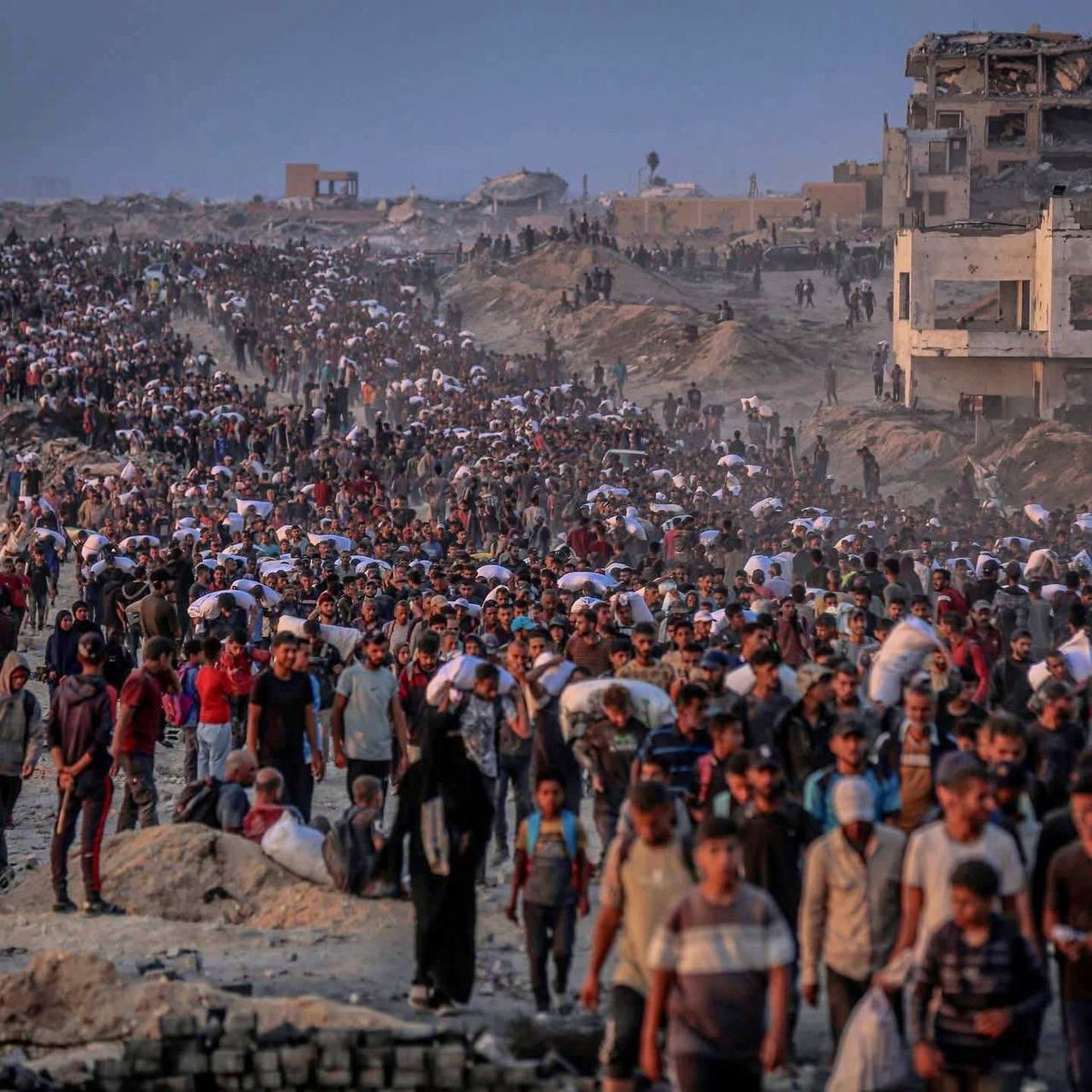 Can we get 2,000 reply with "Free Palestien"🇵🇸