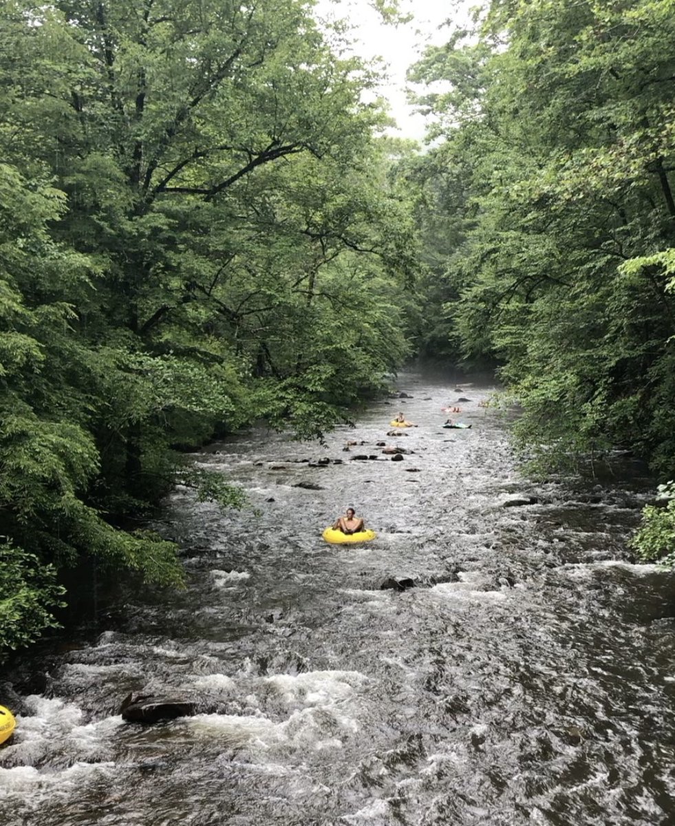 NCDPI MTSS tweet media