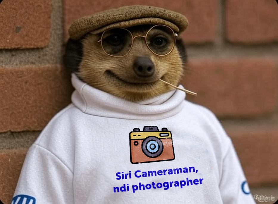 teemorethy's tweet image. Webale grok
😅