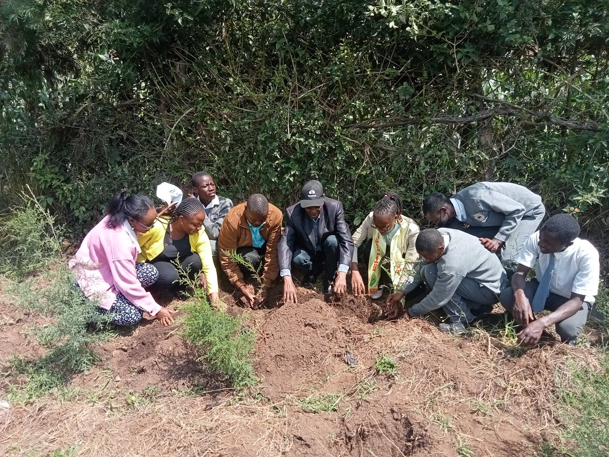 bintigreennetworkorg tweet media