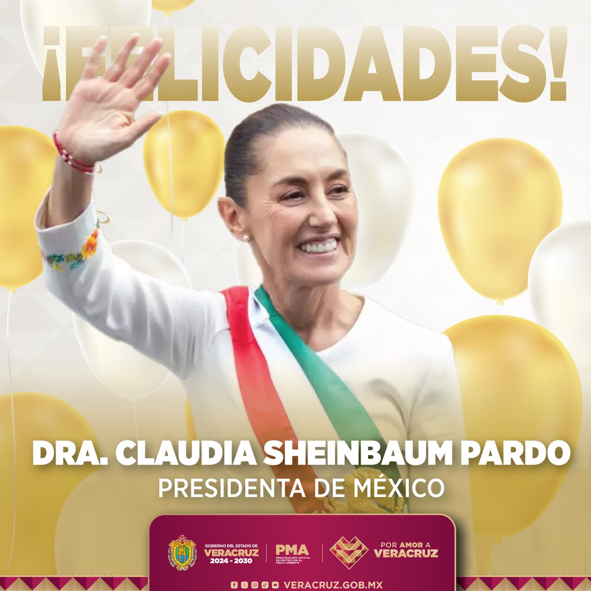 PMA Veracruz tweet media