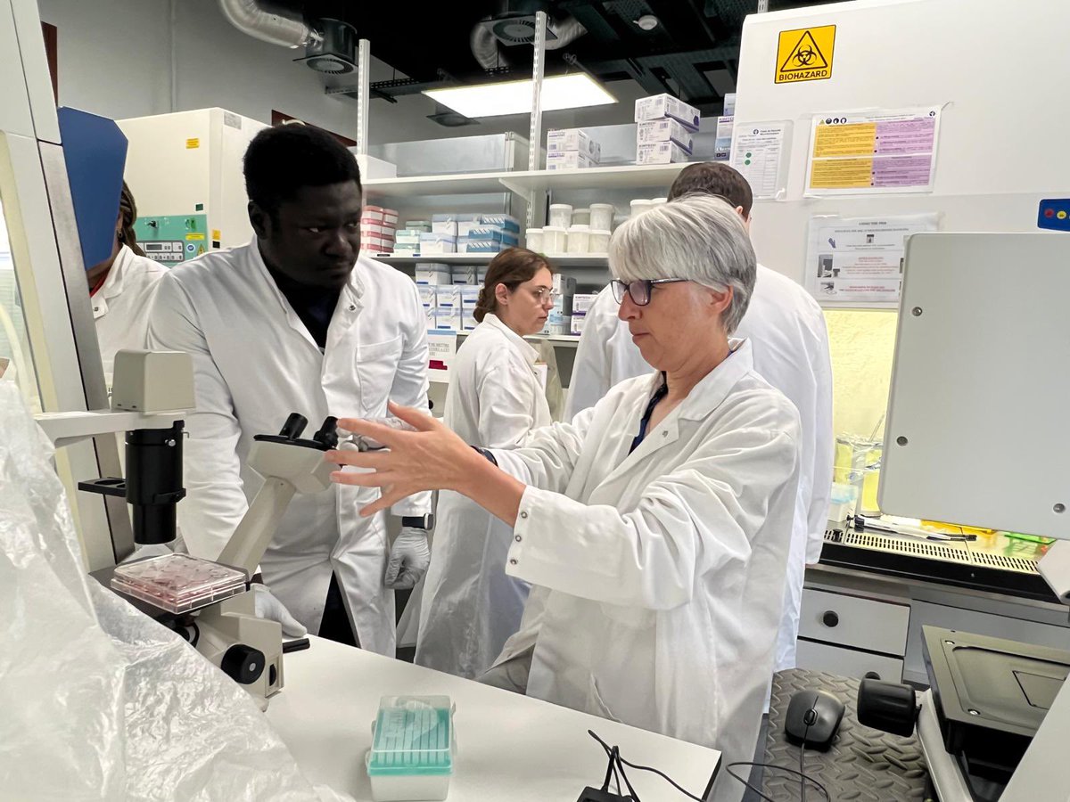 LabTajbakhsh's tweet image. Pluripotency, CRISPR/Cas9, organoid days. Lectures to bench. With a precious and passionate lecture by Michele De Luca