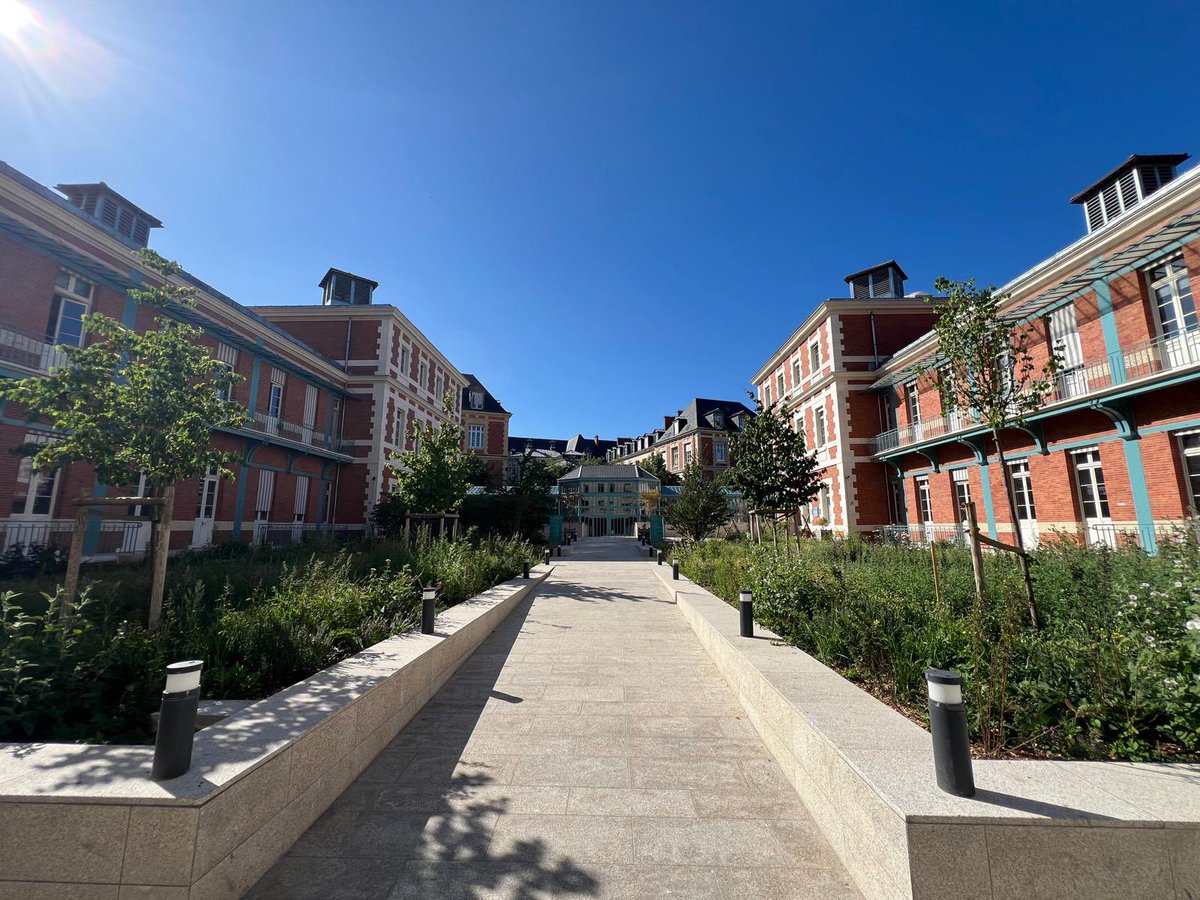 LabTajbakhsh's tweet image. Pluripotency, CRISPR/Cas9, organoid days. Lectures to bench. With a precious and passionate lecture by Michele De Luca