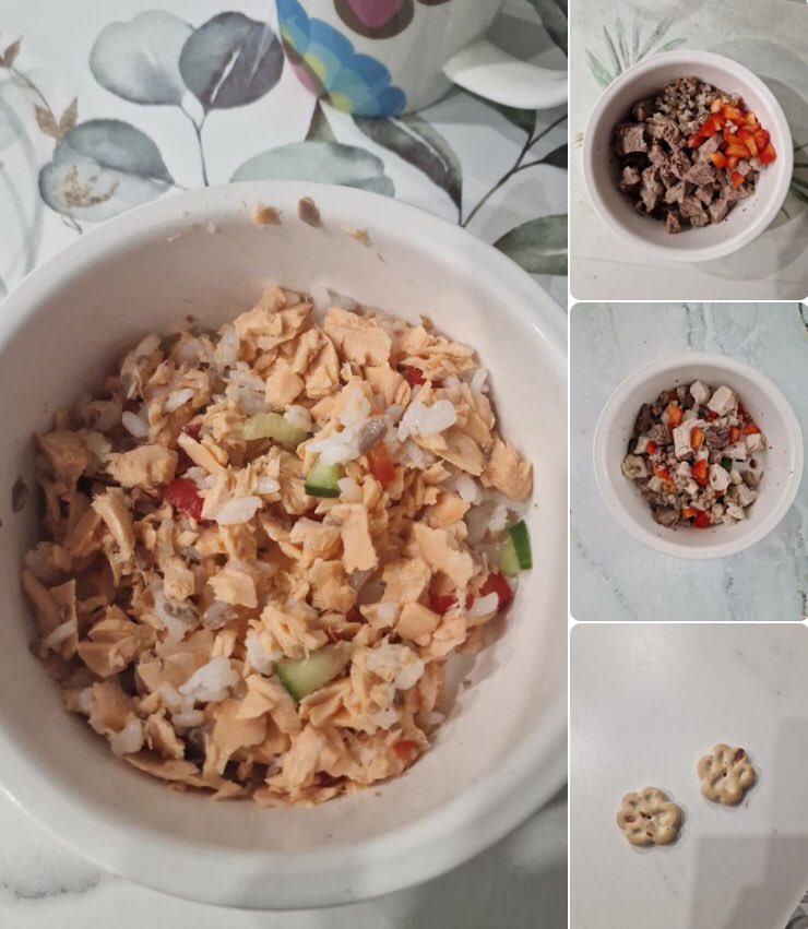 Давно еду не постила) свою не буду) смотрите на Асину) форель, говядина, индейка, сердце и печень там ещё добавлена) и овощи есть) их плохо видно, просто поверьте) и печенька, за хорошее поведение)