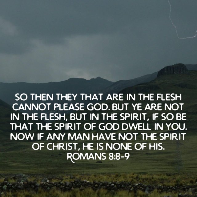 Pastor Mikey Jones aka Big Bear (@pastormikey_j) on Twitter photo 