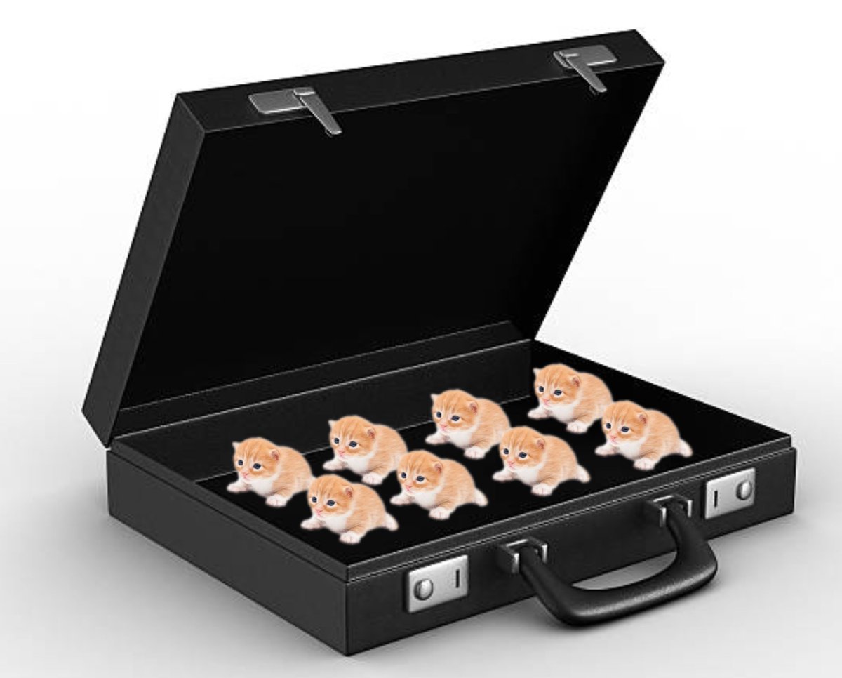 emergency briefcase 💼